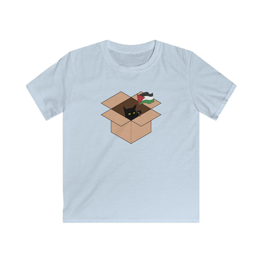 Cat in a Box Palestine Flag Kids T-shirt