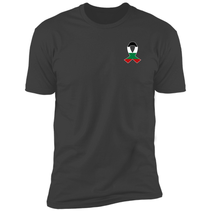 Palestine Awareness Ribbon Tshirt