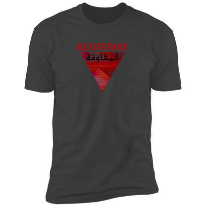 The Resistance Palestine Freedom Tshirt