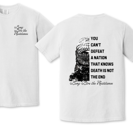 You Can't Defeat a Nation Palestine Resistance T-shirt